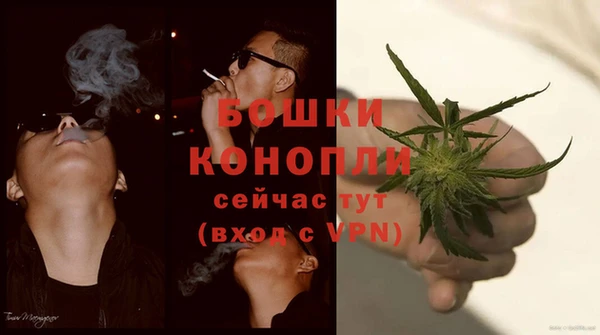 spice Абаза